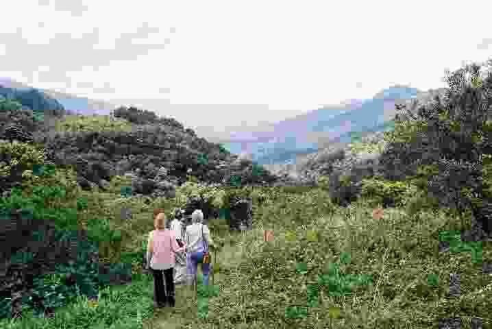 Magoebaskloof Hotel Tzaneen Dış mekan fotoğraf